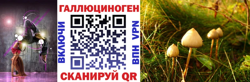 как найти наркотики  Алупка  Псилоцибиновые грибы прущие грибы 